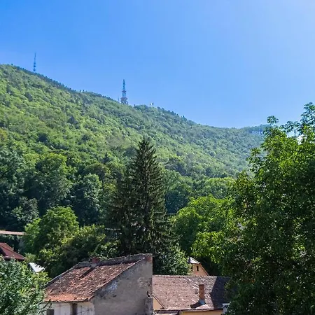 Black Gate - Quiet In The Heart Of Old Town With Free Private Secured Parking Apartment *